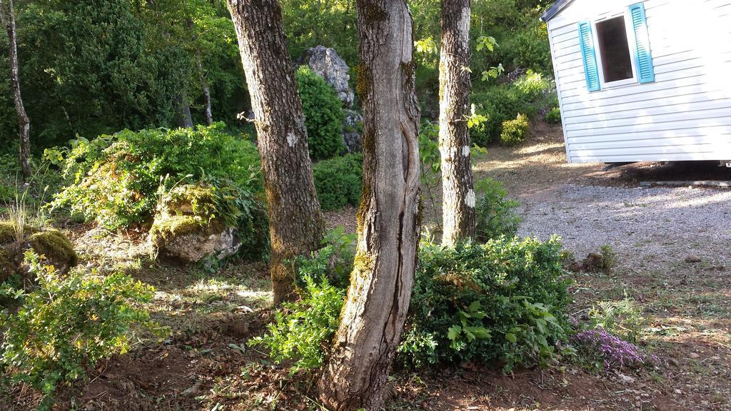 Des Templiers -