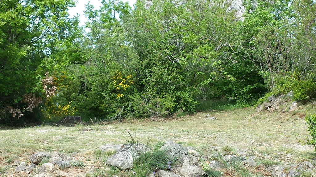 Des Templiers - Camping