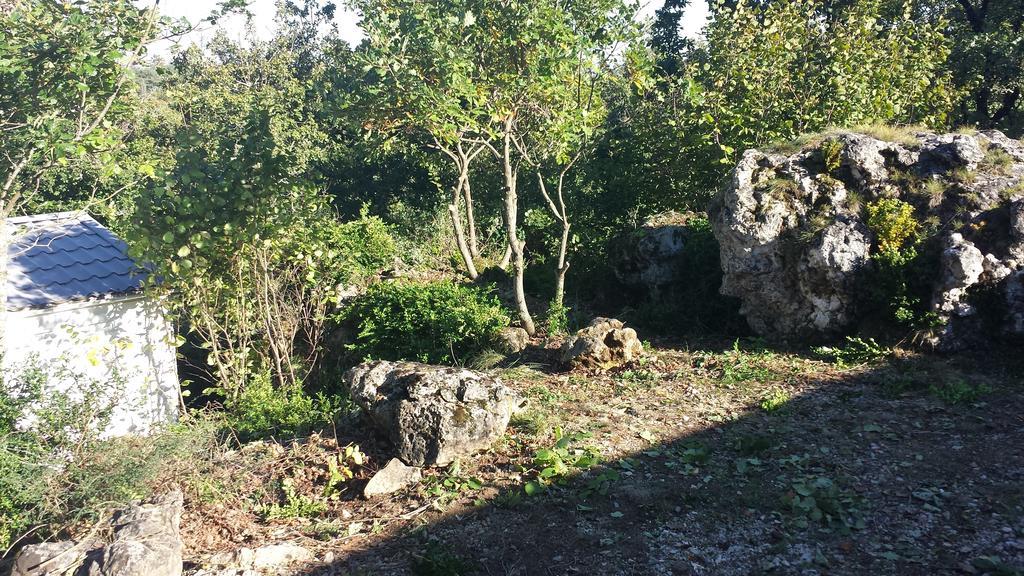 Des Templiers -